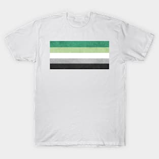 Shimmer Aromantic Pride Flag T-Shirt